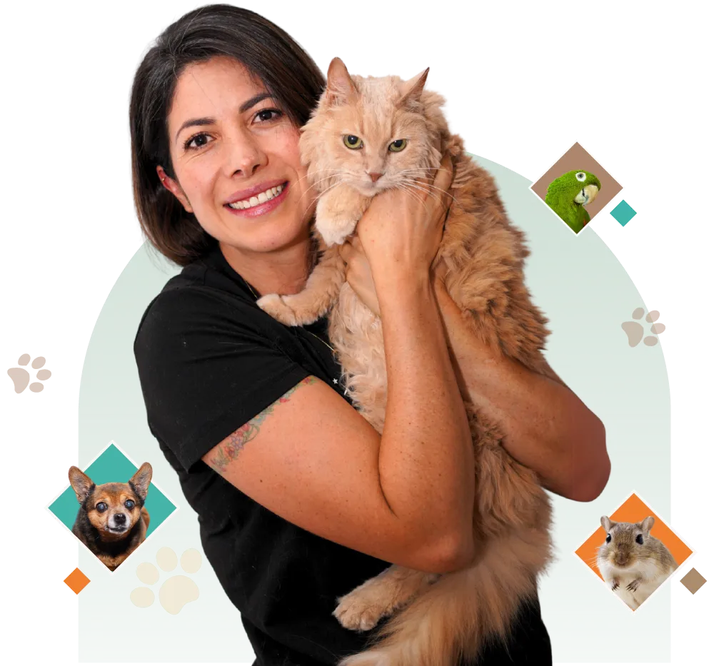 Doctora de Clínica Veterinaria Prana sosteniendo un gato en Chía