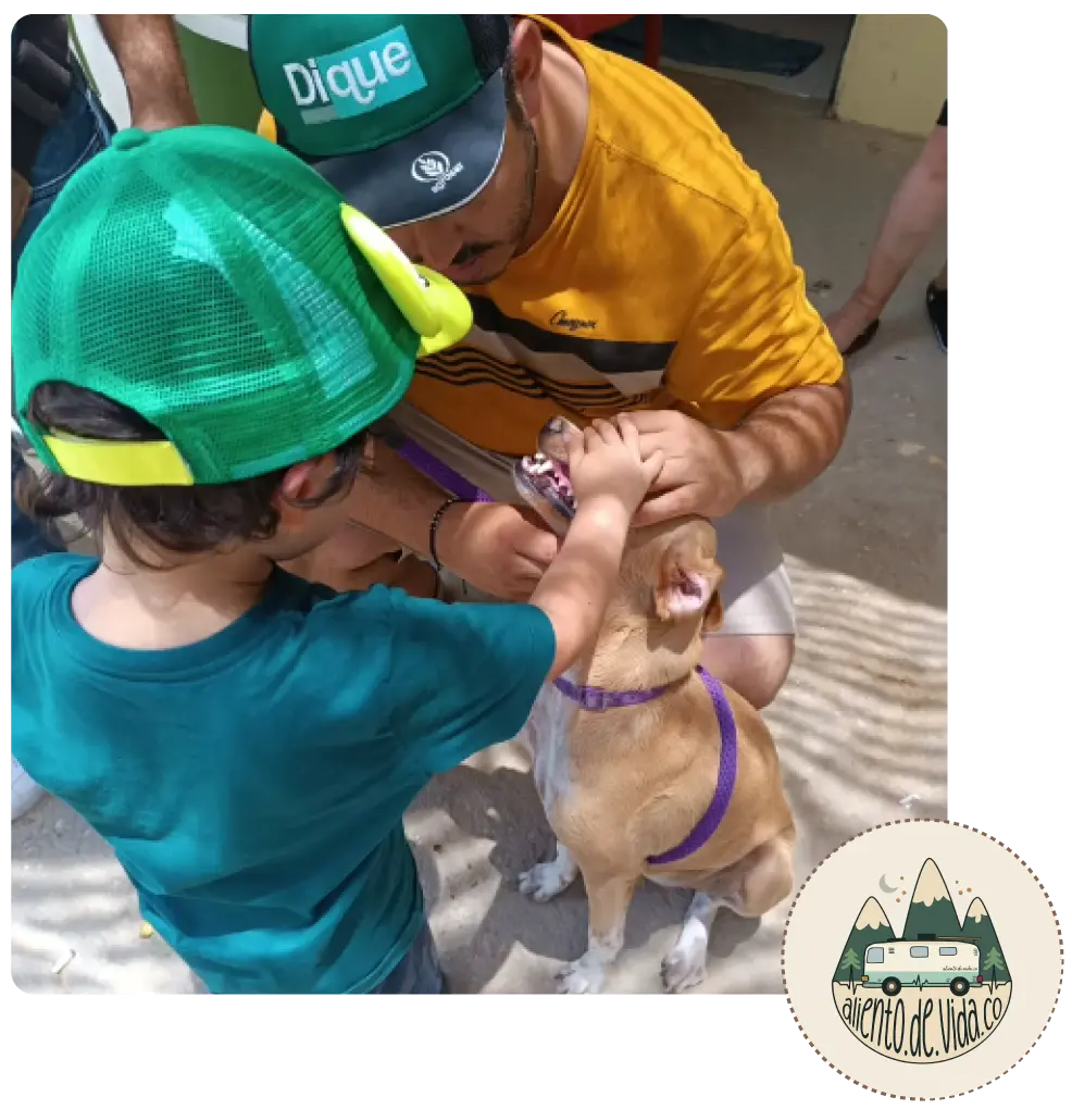 Proyecto social veterinario | Aliento de Vida by Prana